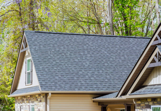 Best Chimney Flashing Repair  in Galion, OH